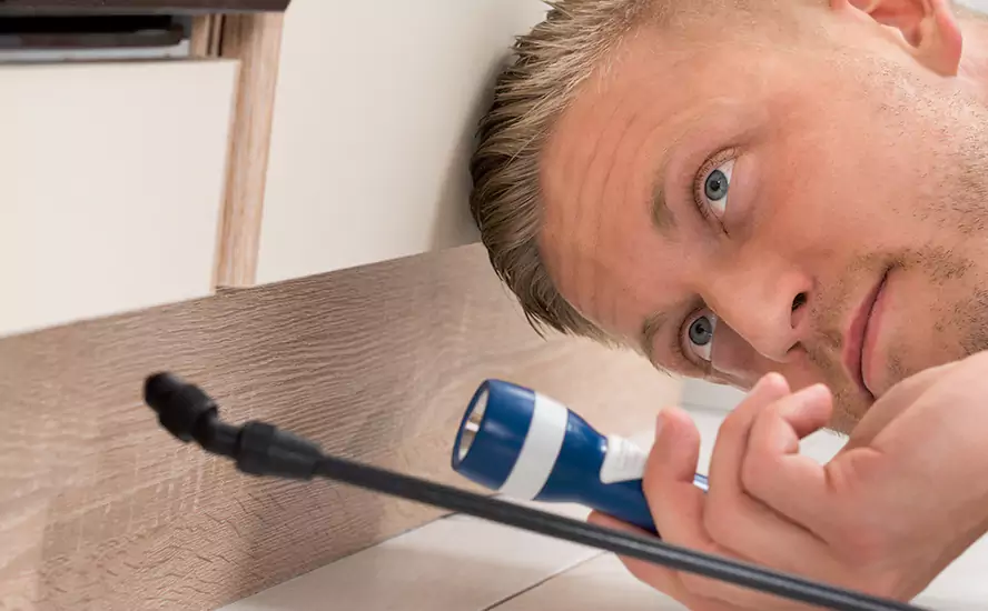 Top-Notch Pest Control in Moreno Valley