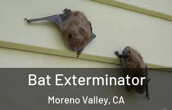  Bat Exterminator Moreno Valley, CA