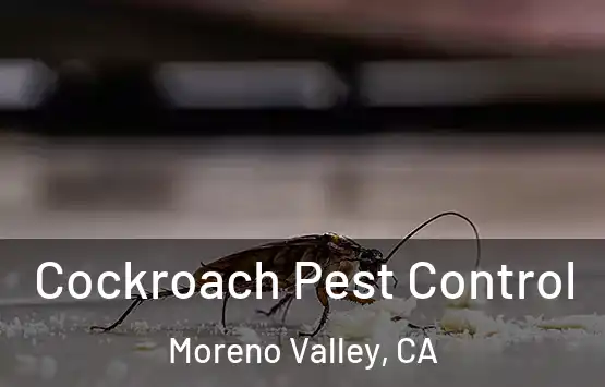 Cockroach Pest Control Moreno Valley, CA