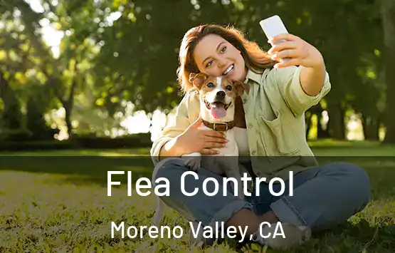  Flea Control Moreno Valley, CA