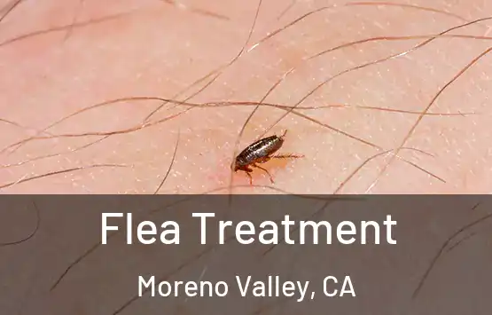  Flea Treatment Moreno Valley, CA