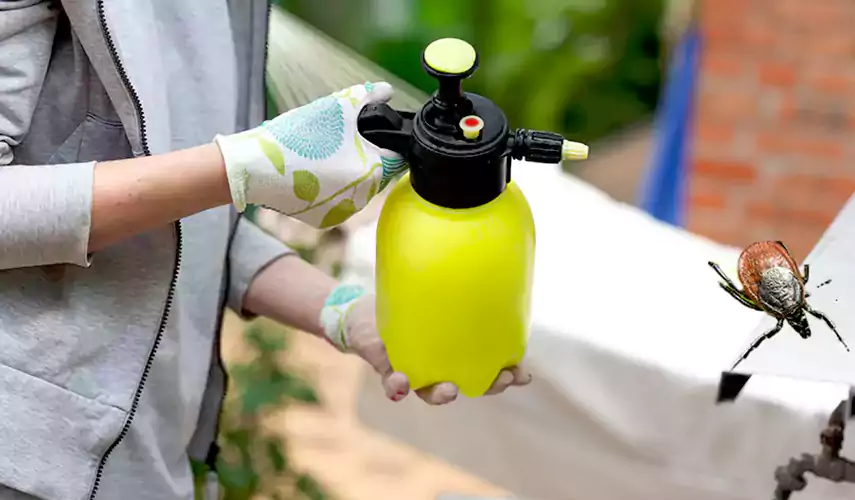 Ticks Pest Control Moreno Valley, California