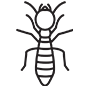 Termites Pest Control Moreno Valley, California