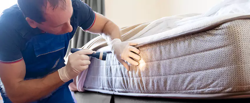 bed-bug-exterminator in Moreno Valley, CA