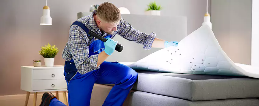 bed-bug-treatment in Moreno Valley, CA