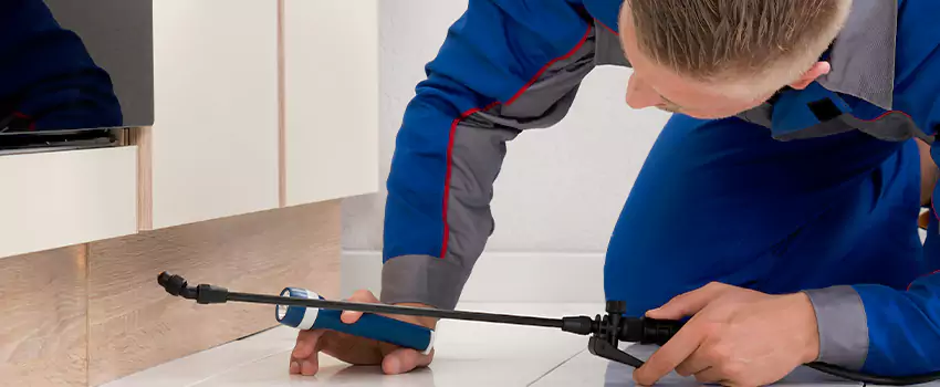 Ant Control for Bedrooms in Moreno Valley, CA