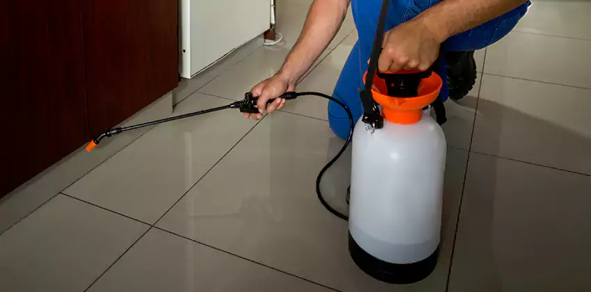 Commercial Pest Extermination for Offices in Moreno Valley, CA