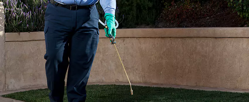 Emergency Pest Extermination for Children and Pets Moreno Valley, CA
