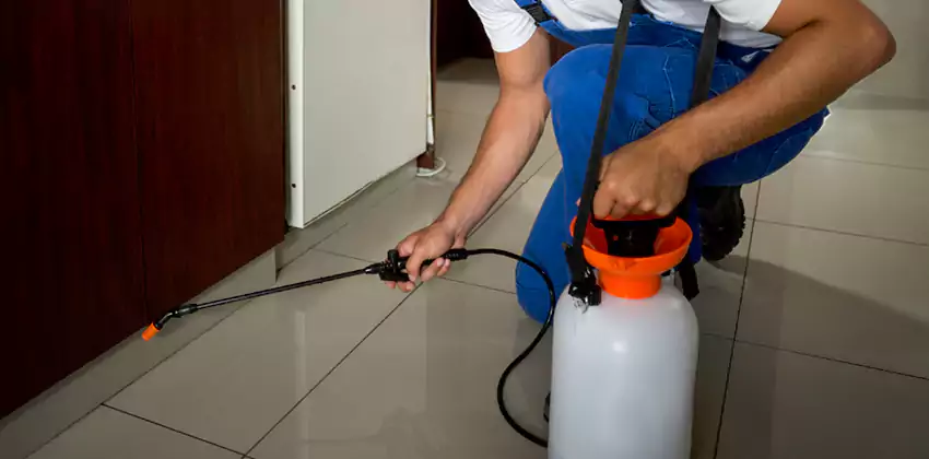 Commercial Flea Exterminator Company in Moreno Valley, CA