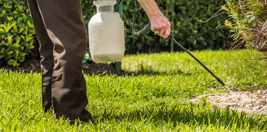 Grub Treatment for Bedrooms Moreno Valley, CA
