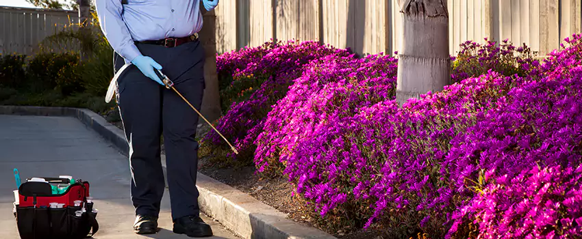 Pest Extermination for Bedrooms in Moreno Valley, CA