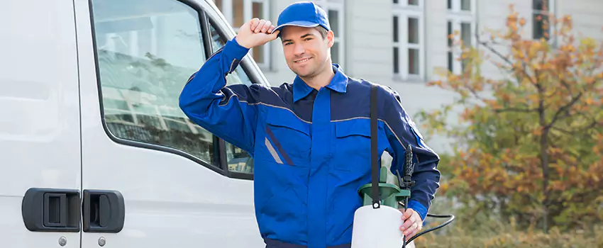 Organic and Chemical Spider Control Options Moreno Valley, CA