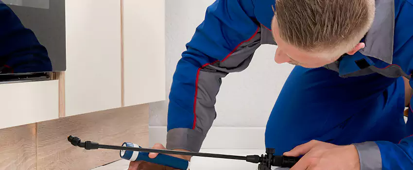 Termite Control for Children and Pets in Moreno Valley, CA