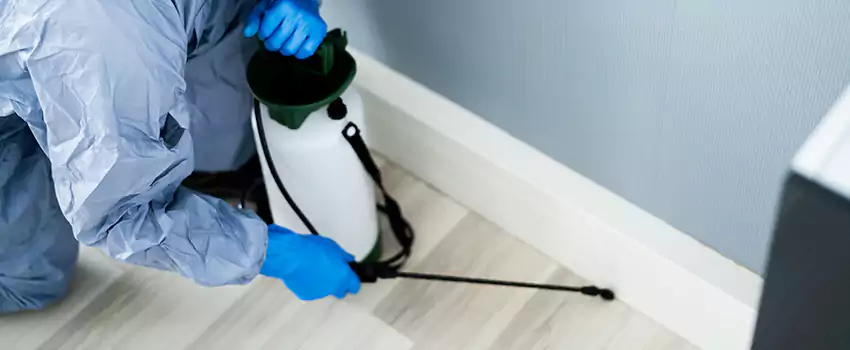 cockroach-exterminator in Moreno Valley, CA