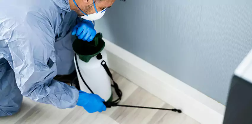 commercial-pest-exterminator in Moreno Valley, CA