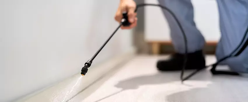 pest-exterminator in Moreno Valley, CA