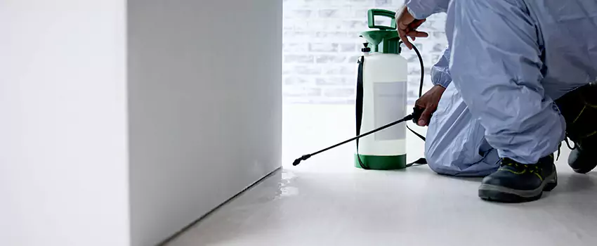 residential-pest in Moreno Valley, CA