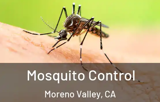 Mosquito Control Moreno Valley, CA
