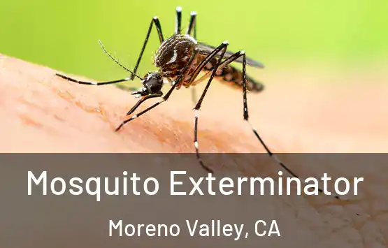  Mosquito Exterminator Moreno Valley, CA