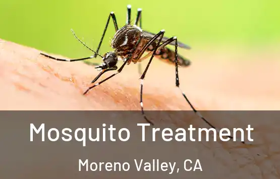  Mosquito Treatment Moreno Valley, CA