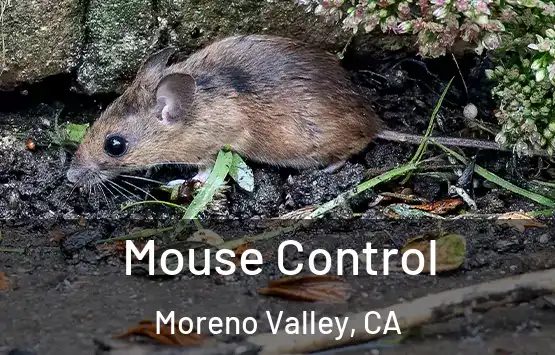  Mouse Control Moreno Valley, CA