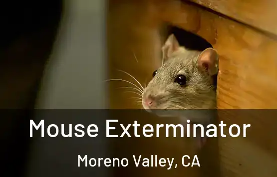  Mouse Exterminator Moreno Valley, CA