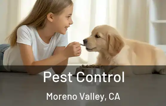 Pest Control Moreno Valley, CA