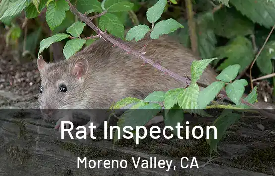  Rat Inspection Moreno Valley, CA