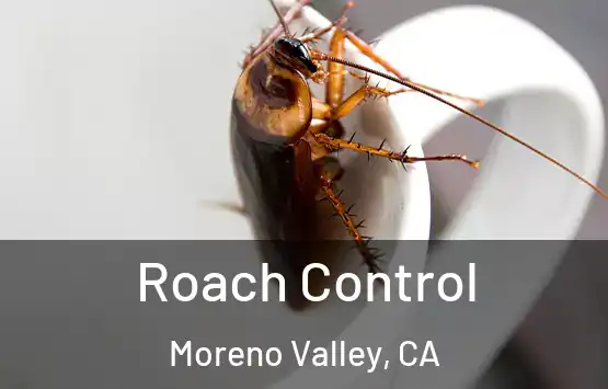  Roach Control Moreno Valley, CA