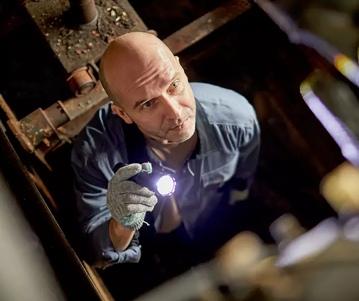 About Pest Inspection Moreno Valley