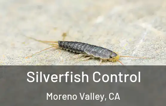  Silverfish Control Moreno Valley, CA