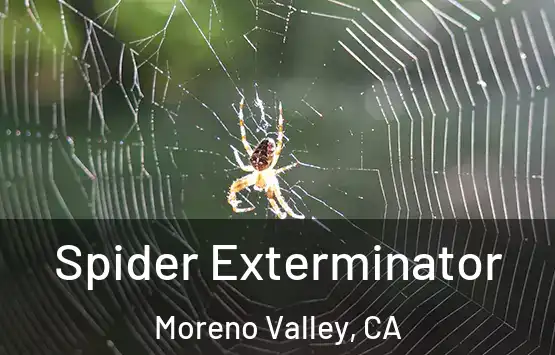  Spider Exterminator Moreno Valley, CA