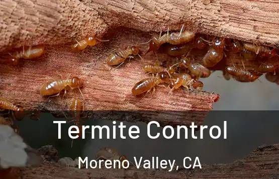  Termite Control Moreno Valley, CA