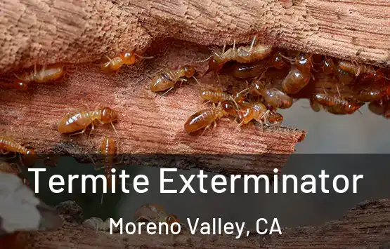  Termite Exterminator Moreno Valley, CA