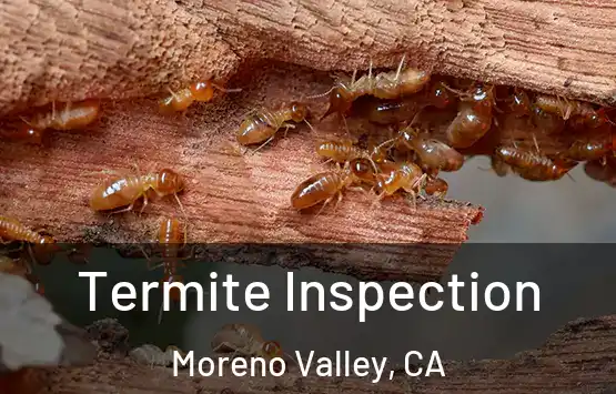  Termite Inspection Moreno Valley, CA