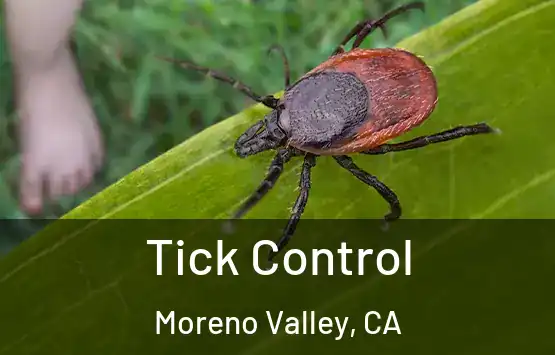  Tick Control Moreno Valley, CA