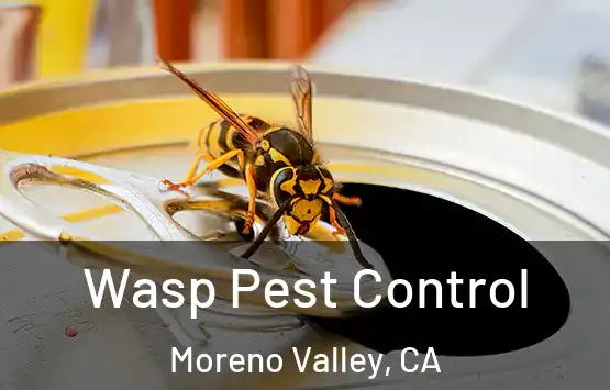  Wasp Pest Control Moreno Valley, CA