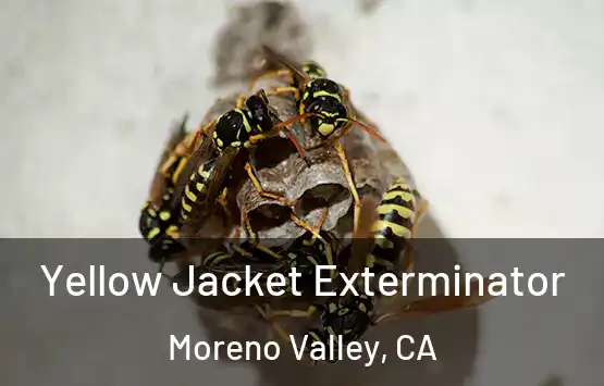  Yellow Jacket Exterminator Moreno Valley, CA